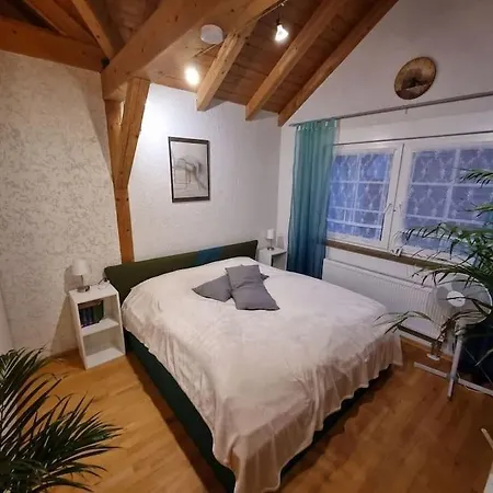 Apartament Gemuetliche Dachgeschosswohnung Erfurt