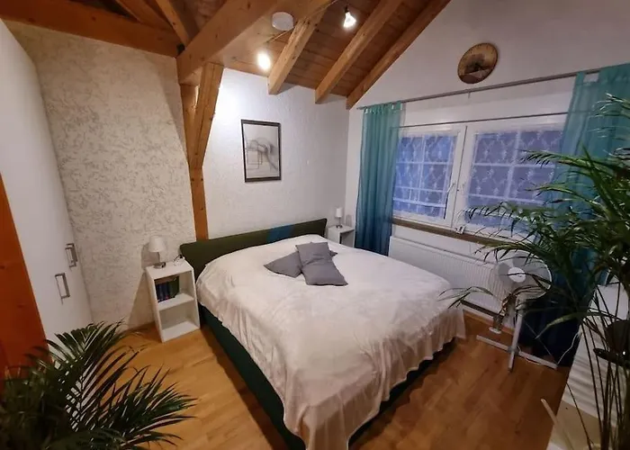 Appartement Gemuetliche Dachgeschosswohnung Erfurt